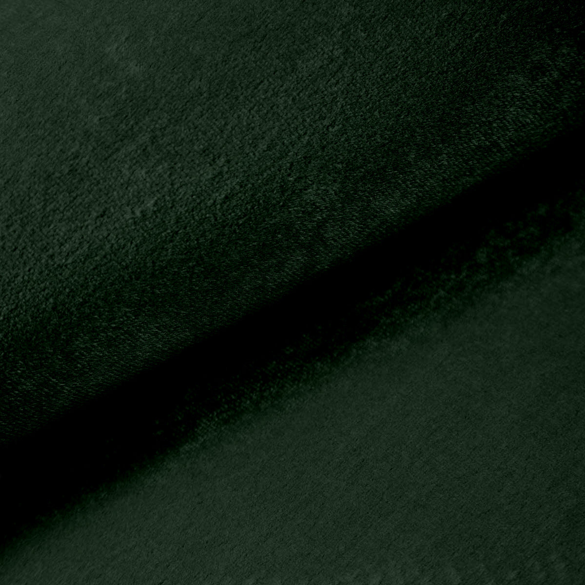 Fabric sample Fresh Wild Fern (FRESH 13)