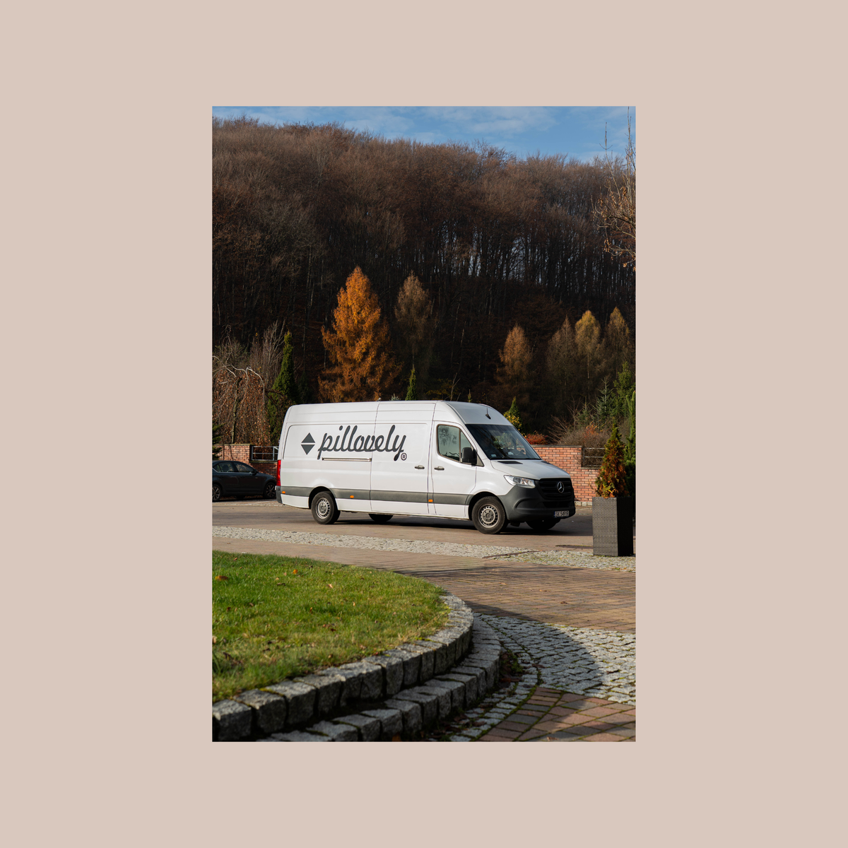 Fourgon de livraison Pillovely