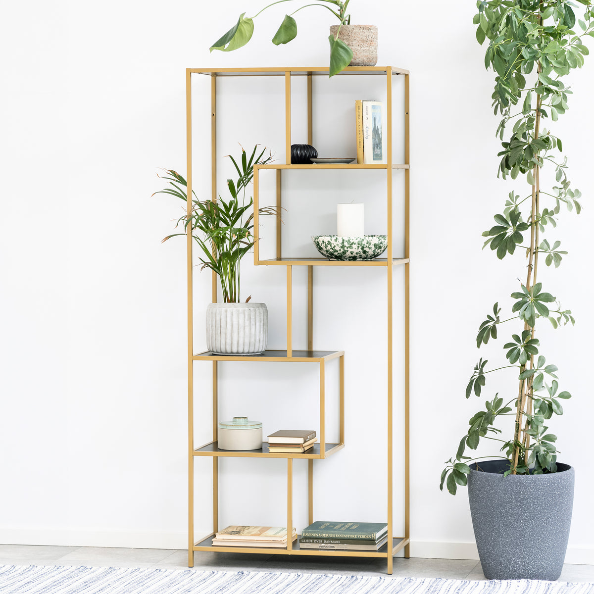 Étagère Skeleto 77 x 185 en mélamine noire (cadre doré) contre un mur blanc, entourée de plantes en pots – une étagère glamour