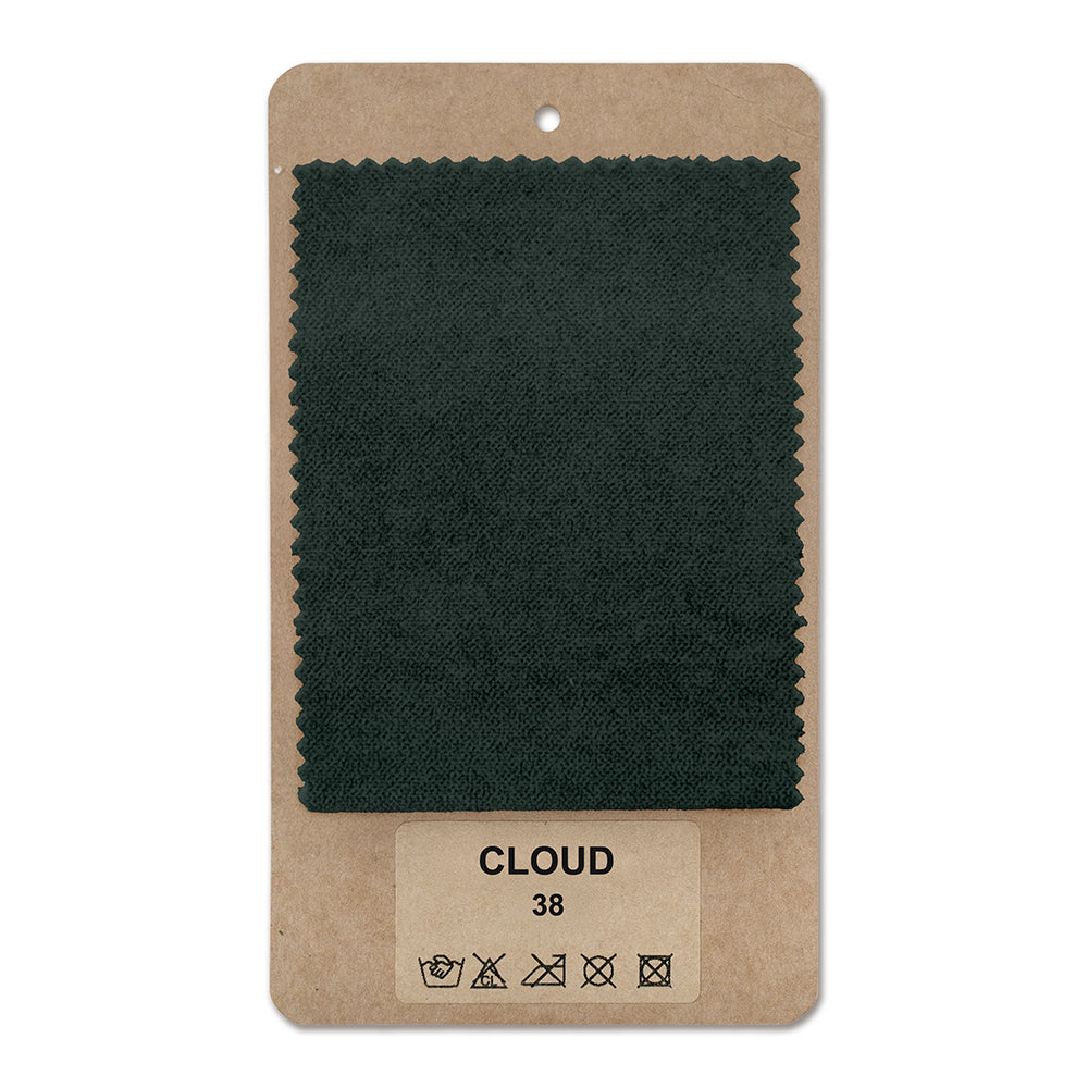 Fabric sample Cloud Black Fern (CLOUD 38)